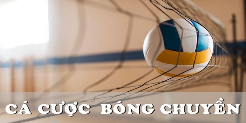 Cá cược bóng chuyền hấp dẫn cùng kèo tỷ số trả thưởng cao