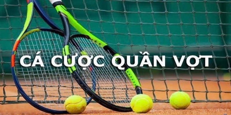 Kèo cược tennis được cung cấp số lượng lớn