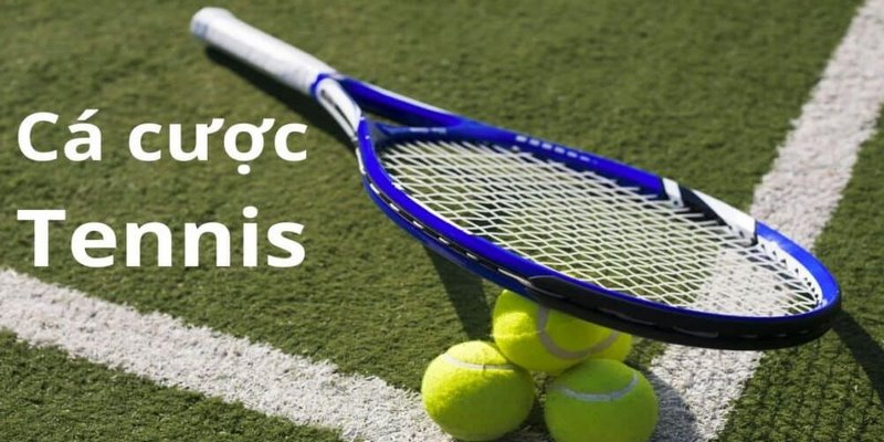 Cá cược tennis hấp dẫn cùng kèo tỷ số trả thưởng cao