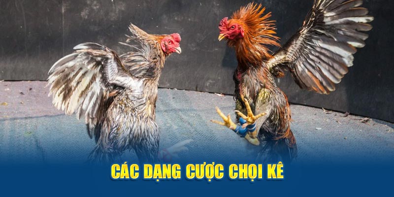 Các dạng cược chọi kê