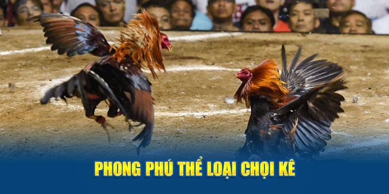 Phong phú thể loại chọi kê